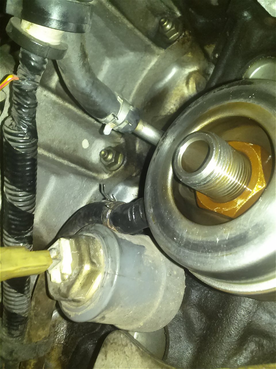 393f250ea56c12721ce02a2f8573e6cd.jpg
