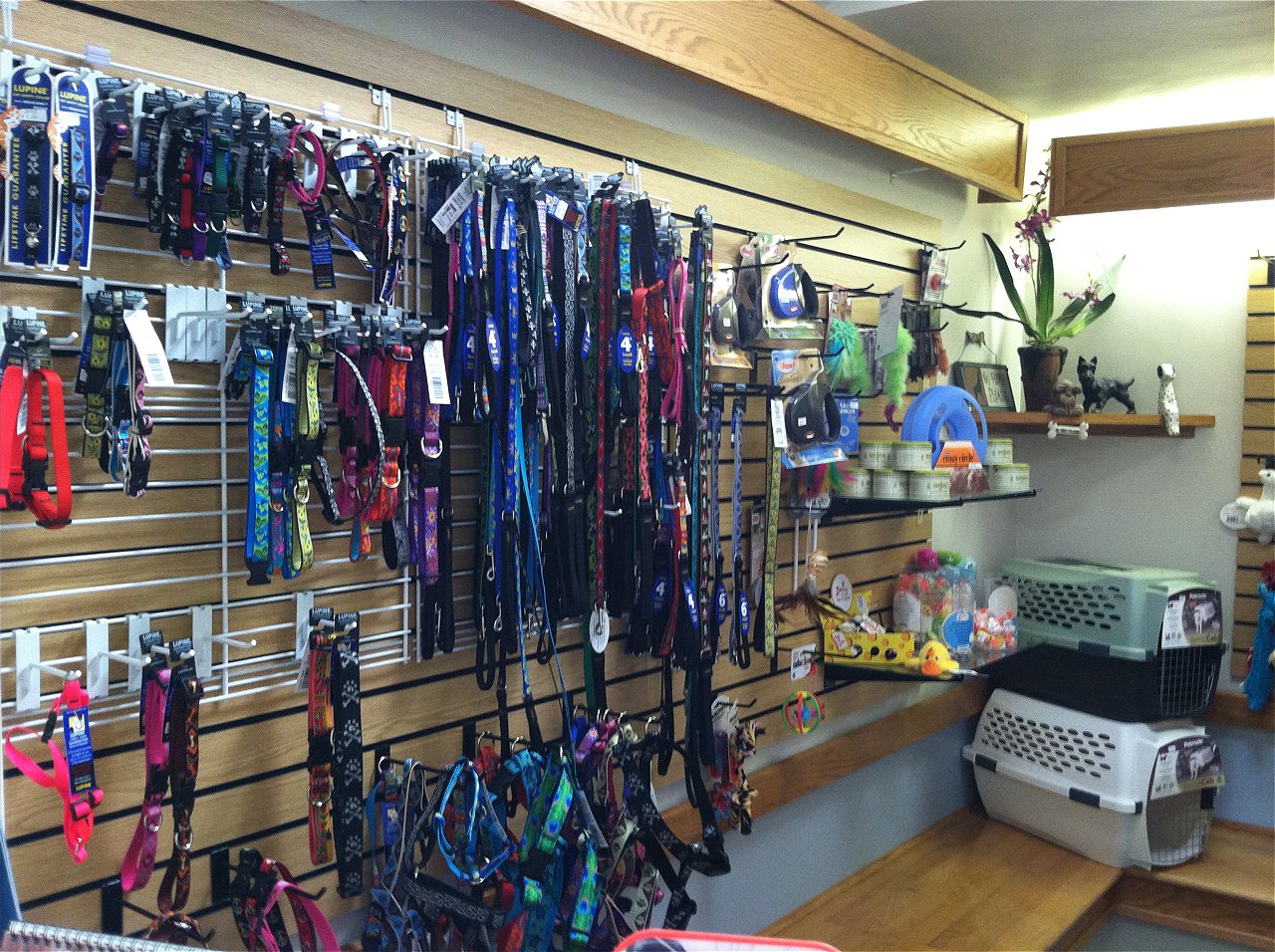 pet clinic of rocky mount