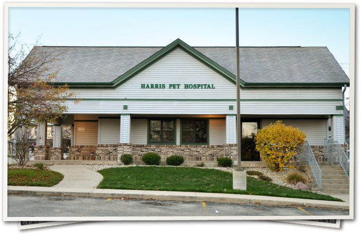 harris pet hospital 24424 75th st salem wi 53168 usa on harris pet hospital paddock lake wi