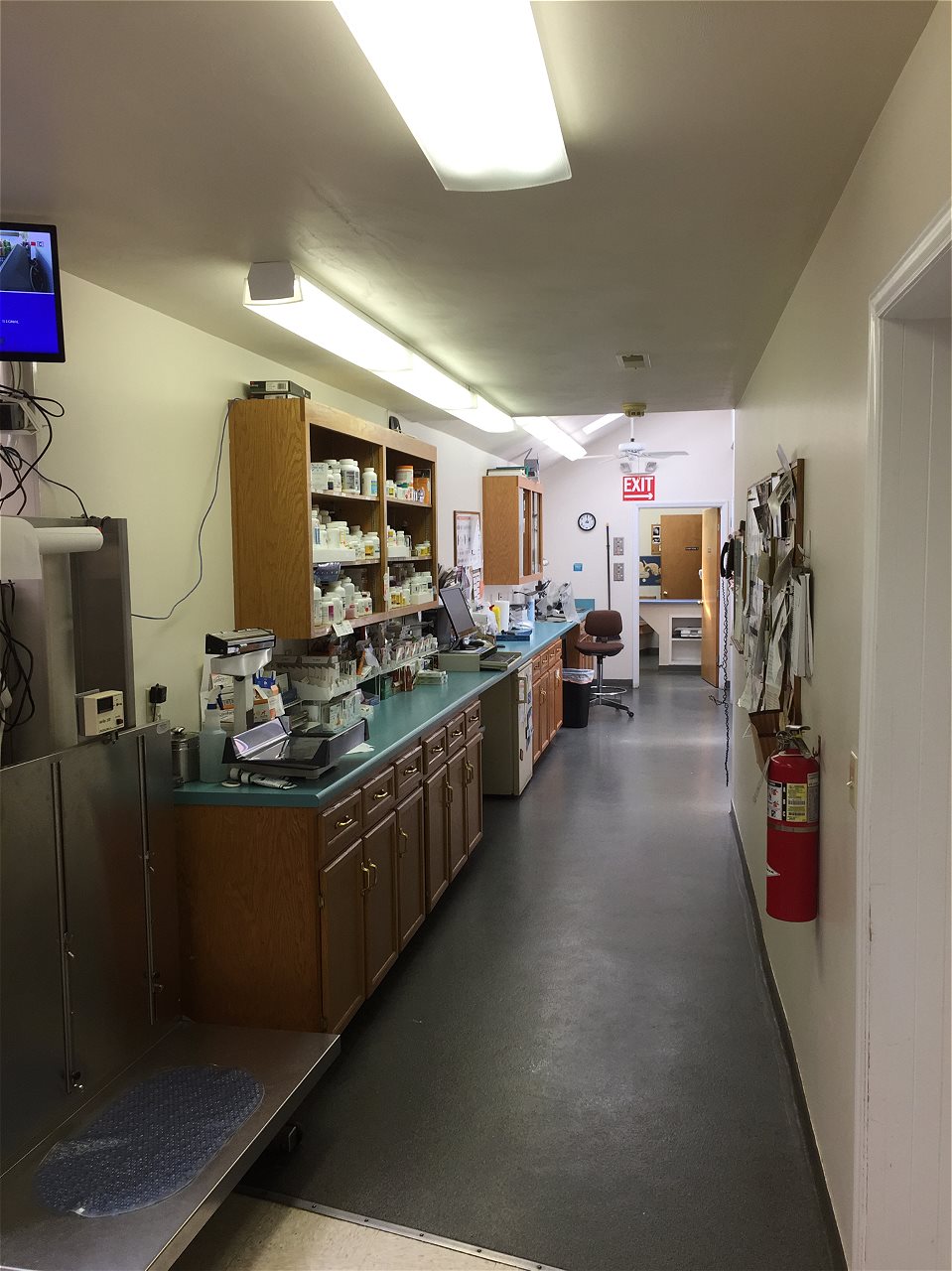 pet clinic of rocky mount