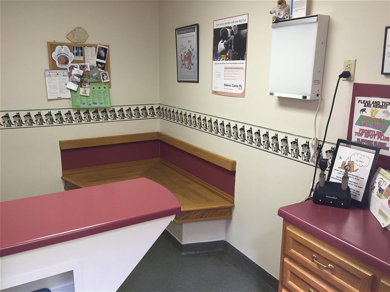 pet clinic of rocky mount