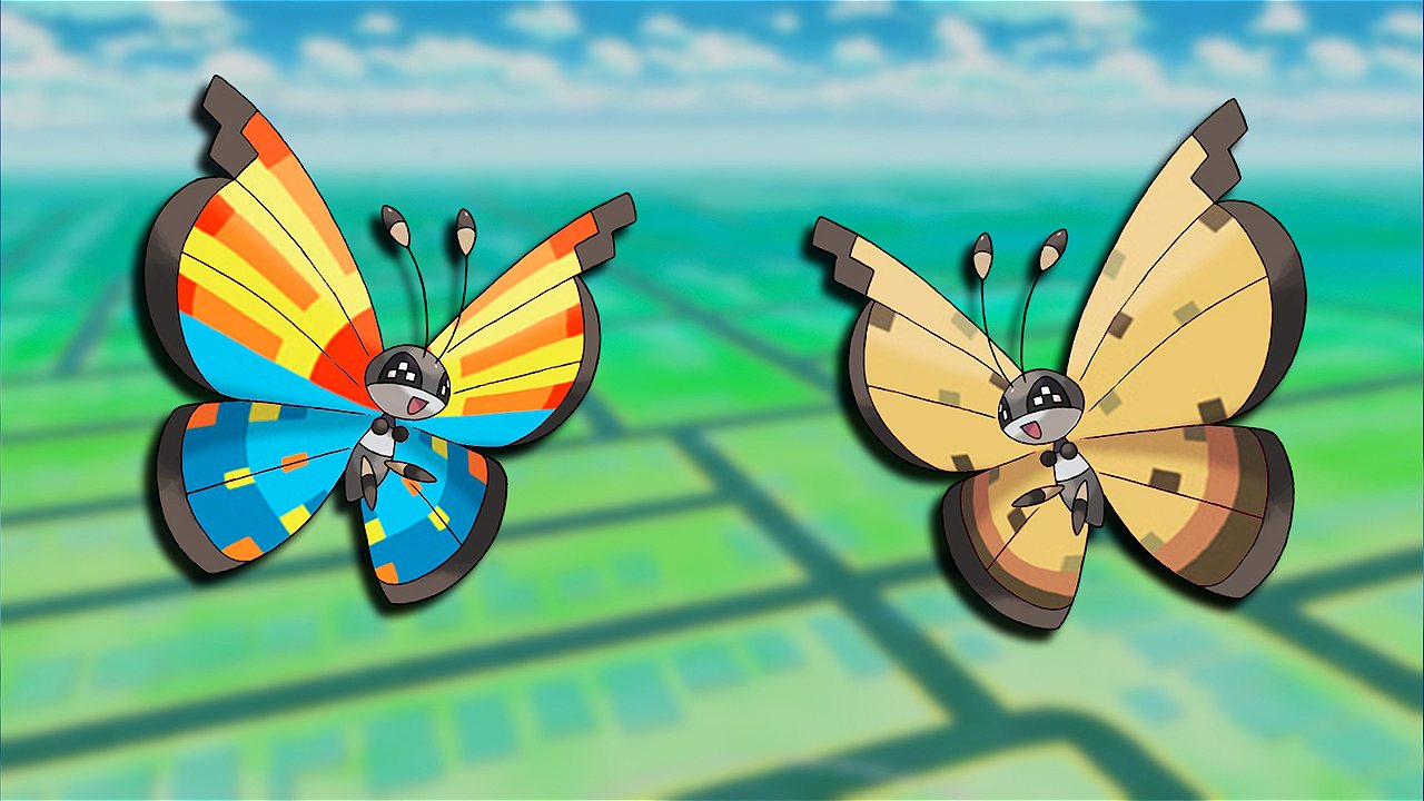 Vivillon océano desierto