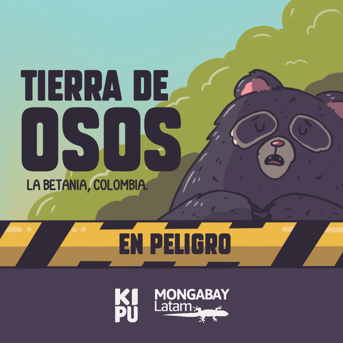 Una empresa minera amenaza la vida del oso andino en Colombia | Historia  gráfica