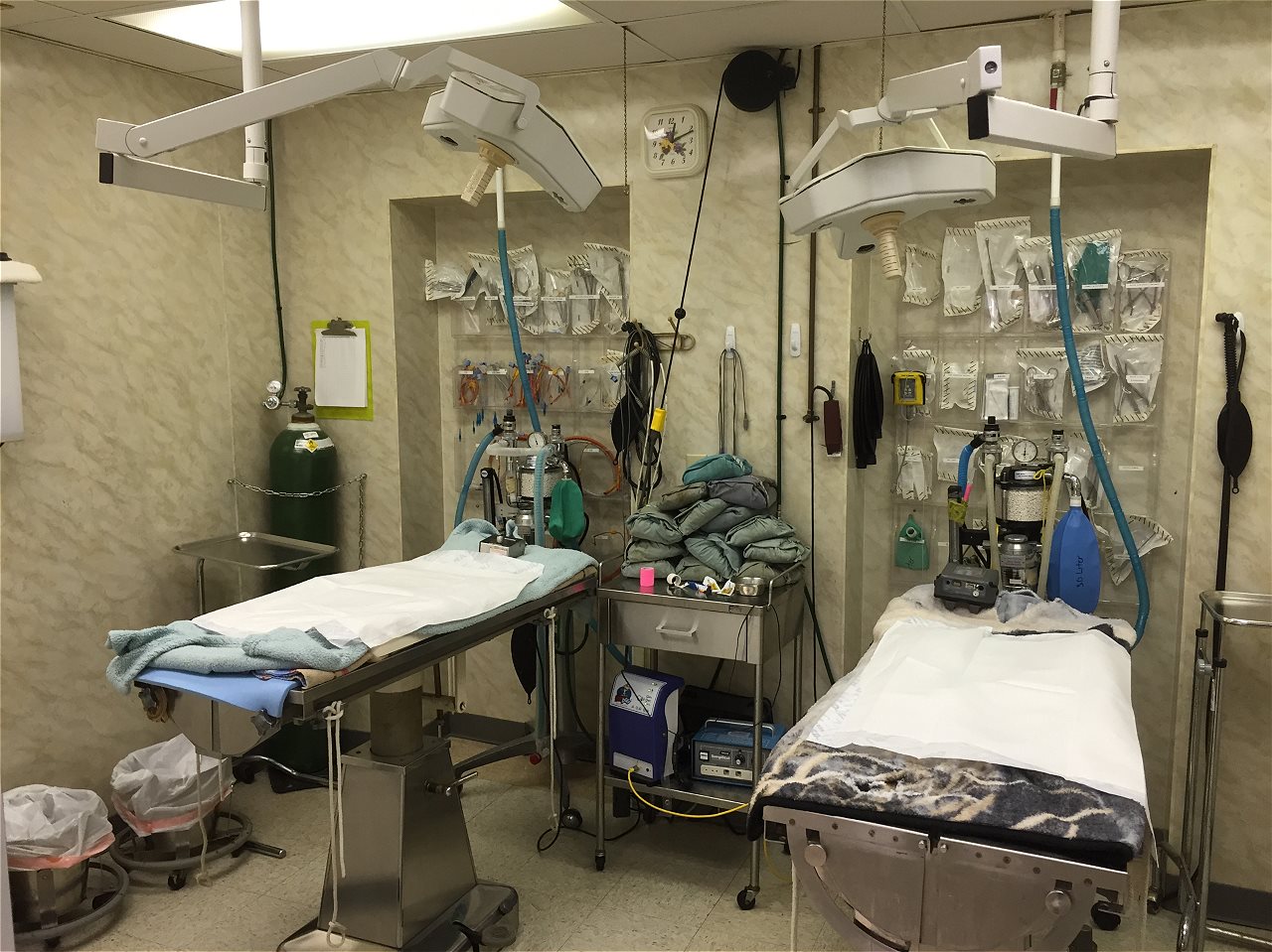 pet clinic of rocky mount