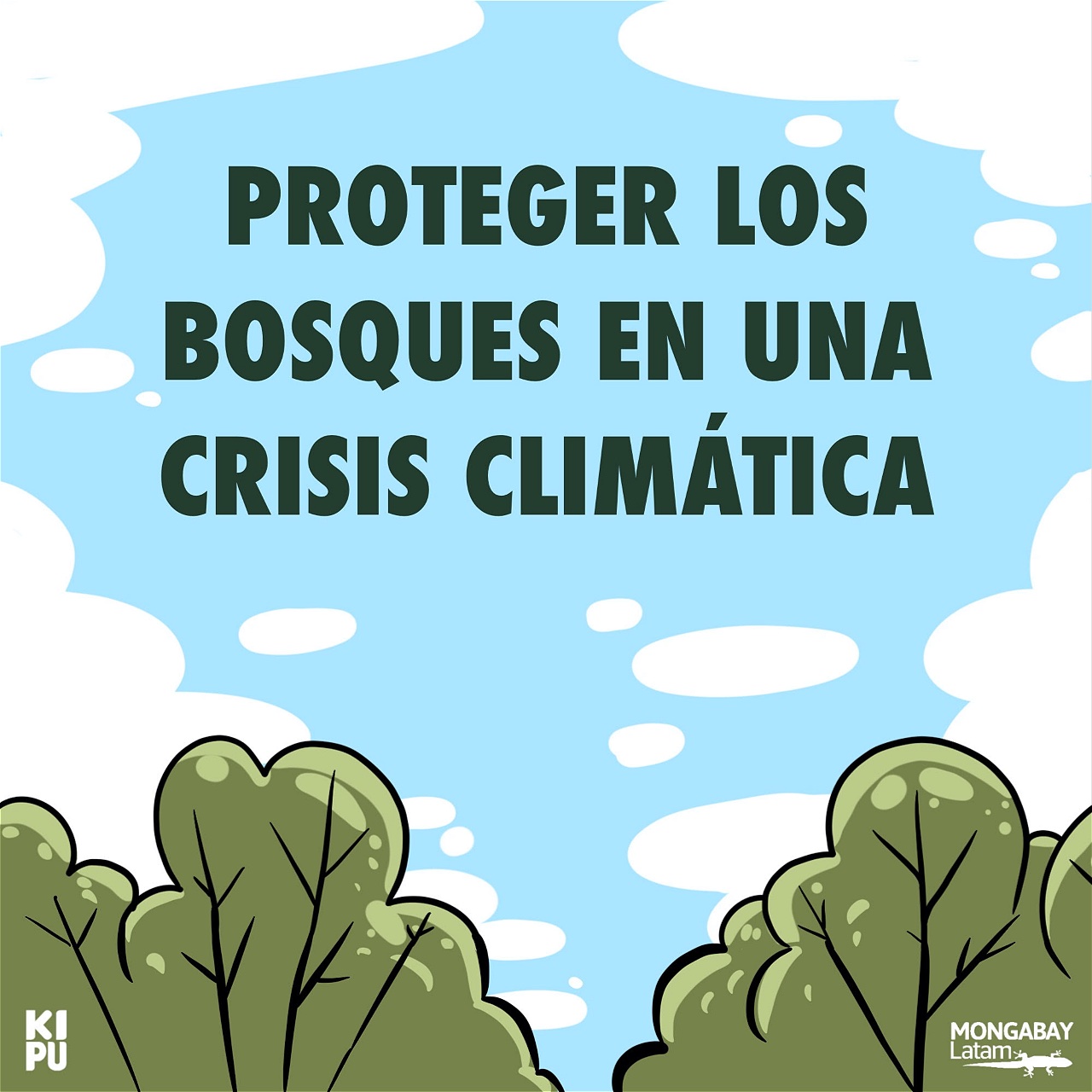 Proteger los bosques en una crisis climática | Historia gráfica