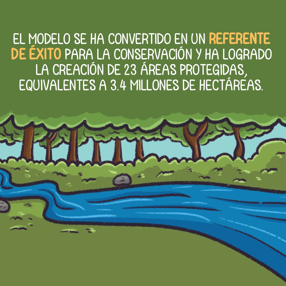 Historia gráfica | El modelo de conservación que protege los bosques y el  agua en Bolivia