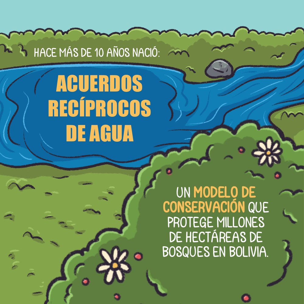 Historia gráfica | El modelo de conservación que protege los bosques y el  agua en Bolivia